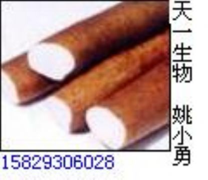 Wild Yam Extract 